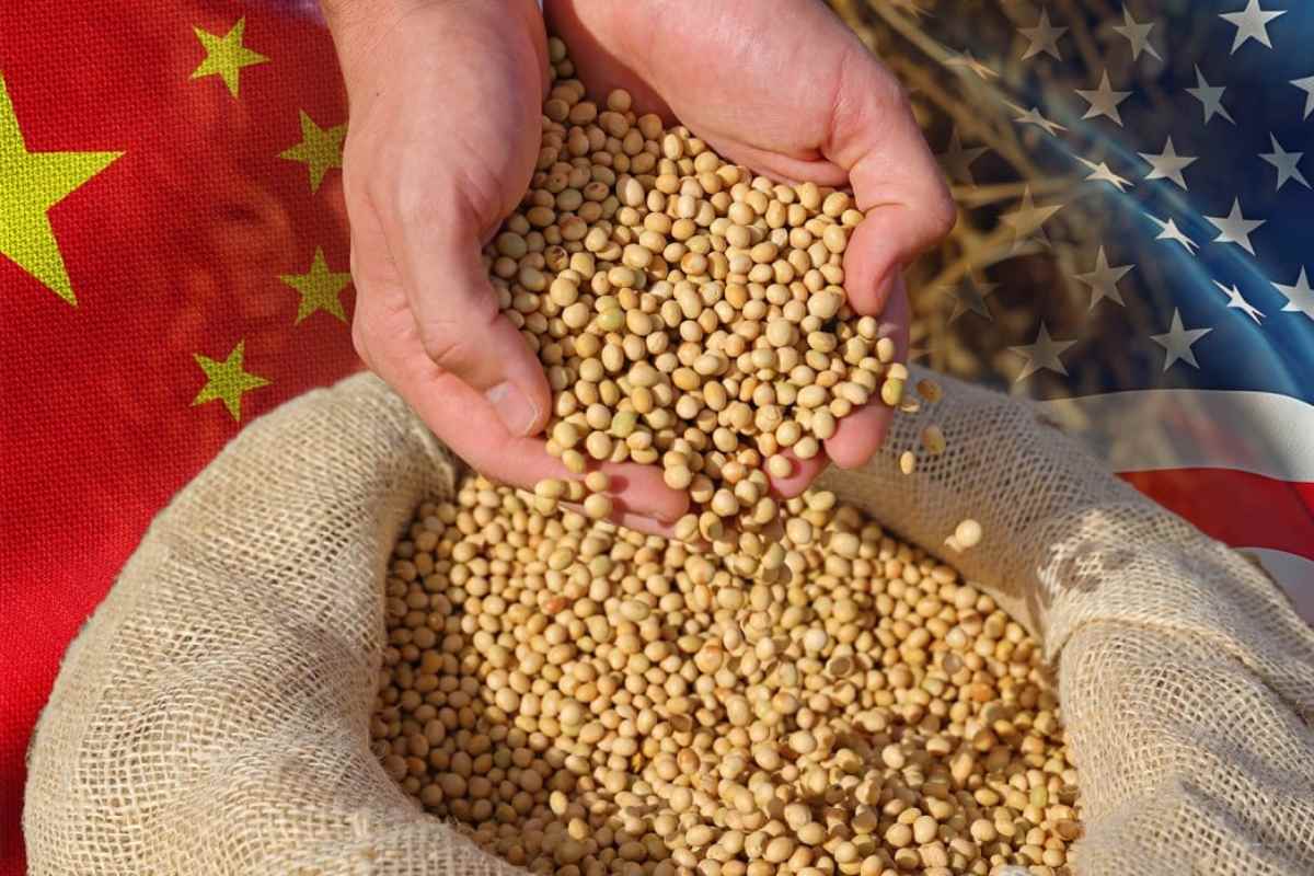 پشت پرده خریدهای میلیاردی چین در بازار سویا چیست؟ بررسی اثرات این معامله بر قیمتهای جهانی